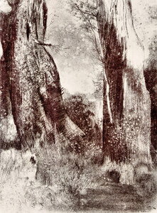 Trunks in the forest